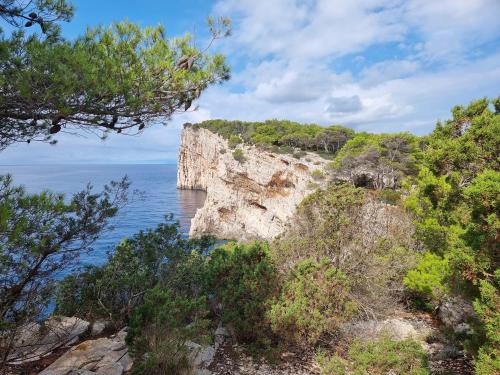 campery asone - WhatsApp Image 2021-11-04 at 13.11.28 (4)